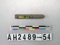 藏品(磨製石針)的圖片